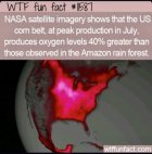 06E5E665-9CD6-4616-B364-12A1F0E8D948.jpeg