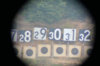Lodi_40X.jpg