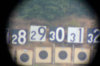 Lodi_50X.jpg