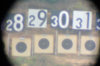 Lodi_60X.jpg