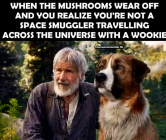 Post mushrooms reality.png