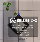 Ballistic-X-Export-2023-04-17 07_52_05.299047.jpg