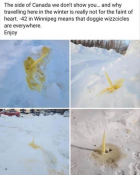 1681751953319.png