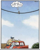 1681947672195.png