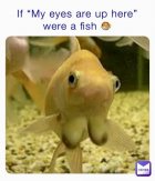 E07E65DB-7233-4847-8C85-519315BD3D04.jpeg
