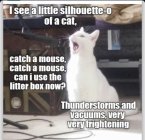 DC5C8722-52D0-496F-ADD1-DE9BFFD157E3.jpeg