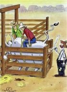 Rodeo Clown.jpeg