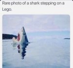 A925BD92-27C8-4AEA-ADDA-5F25FD75CAAF.jpeg