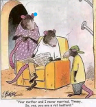 1682174609079.png