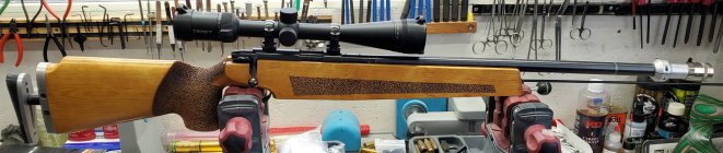 Rem M540XR Target 22lr left.jpg