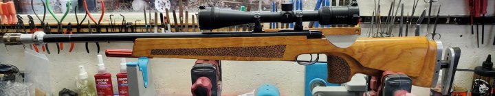 Rem M540XR Target 22lr right.jpg