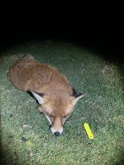 IMG_8892.jpeg