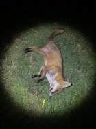 IMG_8890.jpeg
