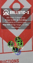Ballistic-X-Export-2023-04-22 00_43_35.122734.jpg