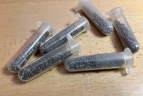 IMG_6480.jpeg IMG_6480.jpeg