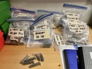 IMG_6481.jpeg IMG_6481.jpeg