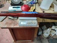 IMG_20230429_090518.jpg