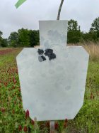 IMG_3504.jpeg