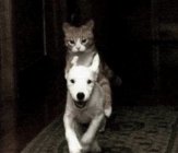 Yaahhh.jpg Yaahhh.jpg