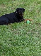 IMG_20220517_183943682.jpg IMG_20220517_183943682.jpg