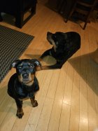 20230505_205940.jpg 20230505_205940.jpg