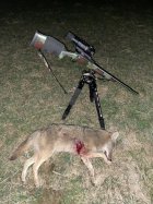 IMG_1825.jpeg
