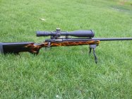 Gun 1.jpg