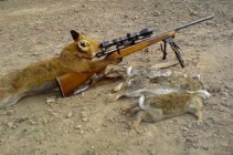 56 Good Hunting.jpg
