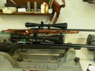 IMG00632-20110114-0945.jpg
