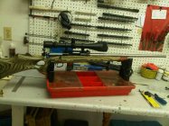IMG00631-20110114-0944.jpg