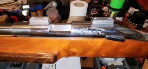 20230515_084908.jpg