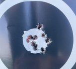IMG_9289.jpeg