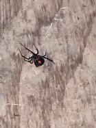 thumbnail_IMG_6747.jpg