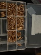 IMG_0131.jpeg