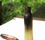 IMG_0246.v01.jpg