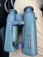 IMG_0156.jpeg