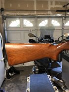 IMG_4025.jpeg