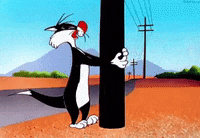 200w (1).gif