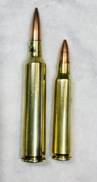 220 Rocket vs 223Rem.jpg