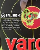 Ballistic-X-Export-2023-06-07 21_56_35.573930.jpg