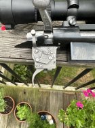IMG_0253.jpeg