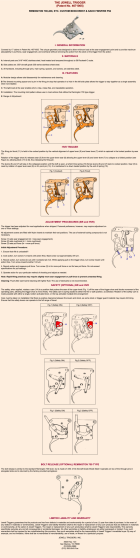 JewellTriggerManual.png