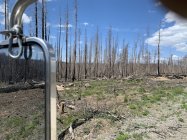 IMG_7600.jpeg