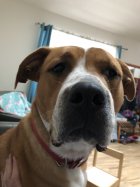 IMG_4046.jpeg