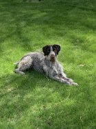IMG_7498.jpeg