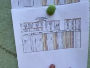 IMG_0875.jpeg