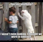 IMG_2716.png