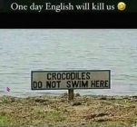 1686431525977.png