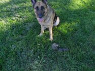 DSCN1782.JPG DSCN1782.JPG