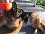 File_000(1).jpeg File_000(1).jpeg